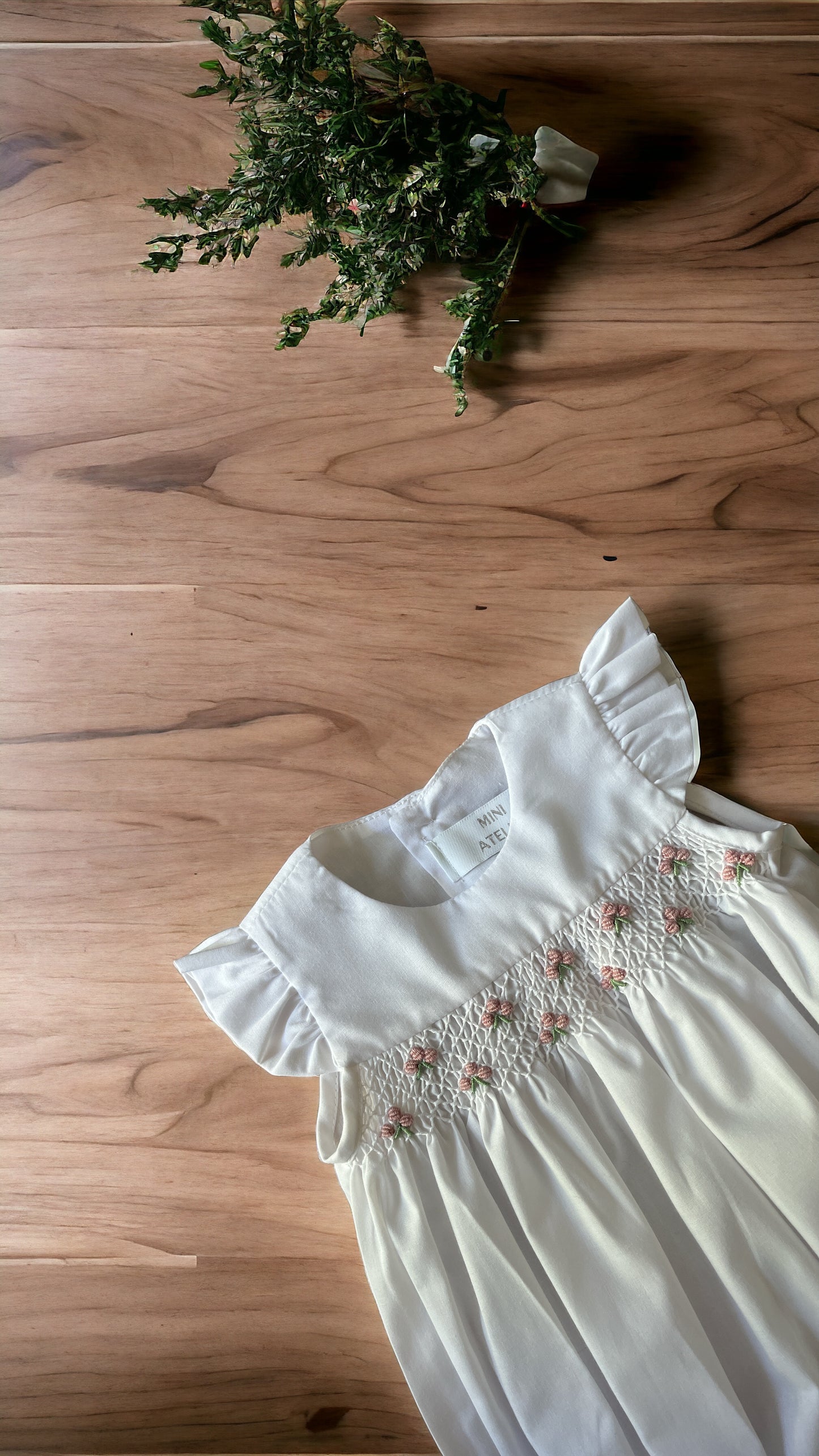 Ranita Javiera Rosada